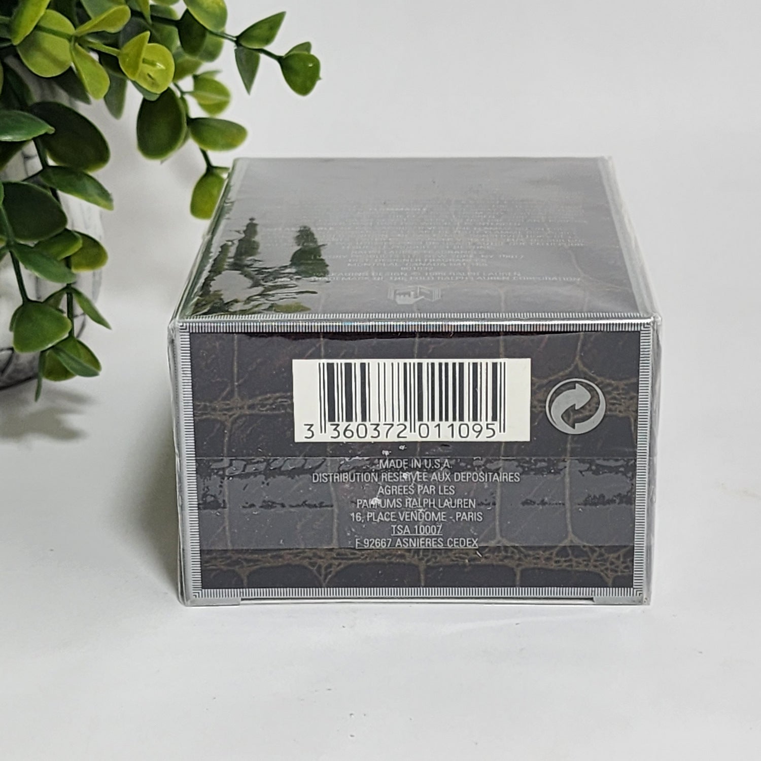 Safari Eau de Parfum Spray Perfume for Women by Ralph Lauren ~ 2.5 fl oz / 75 mL